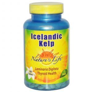 Islandijos laminarija, gamtos gyvenimas, 500 tablečių